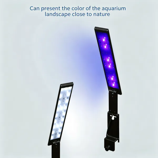 MIni Aquarium Clip-on Light best