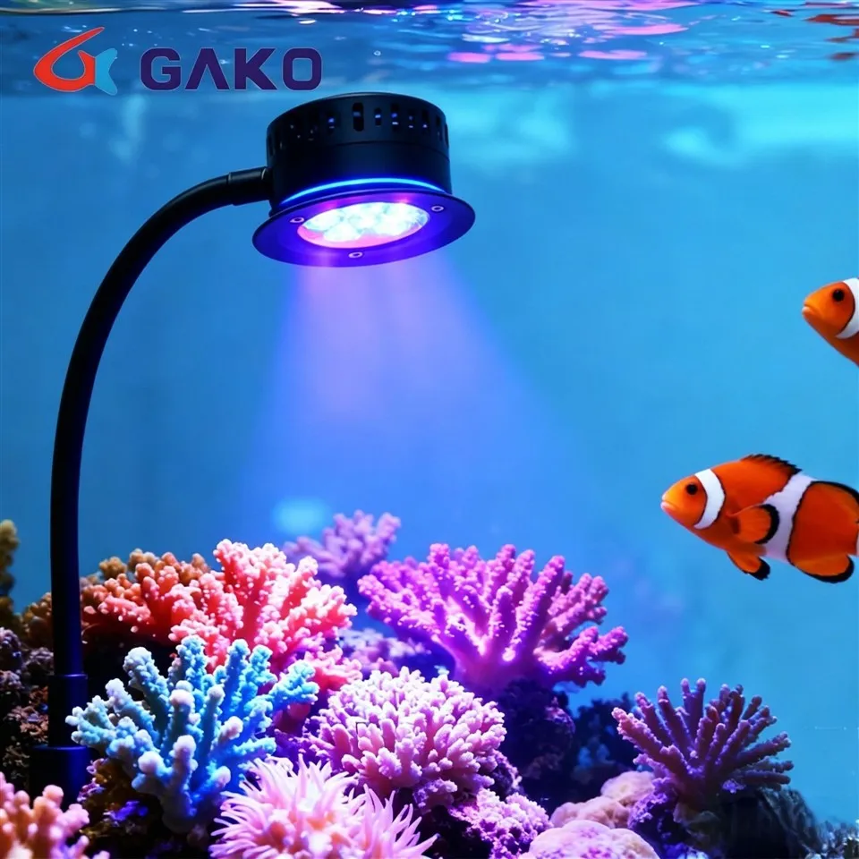 Timer Coral Clip On Lamp